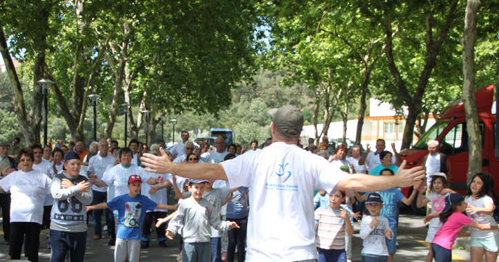 sld-ginsenior-encal2017