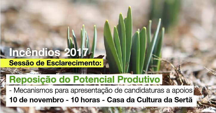 sld incendios sess esc