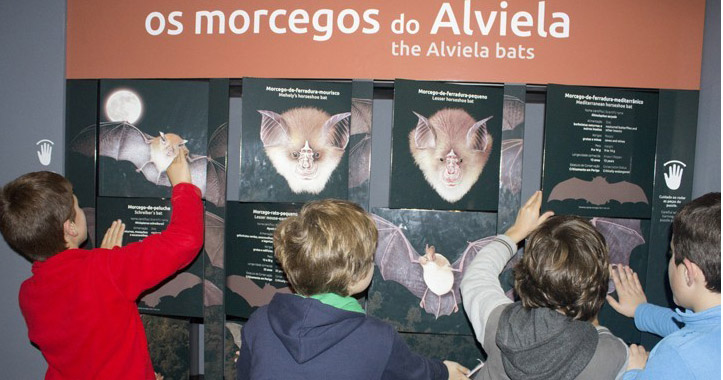 Sld-TempoAcolherCCVAlviela