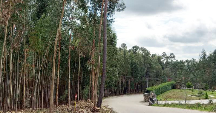 Sld-TrabalhosRPFGCmarco21