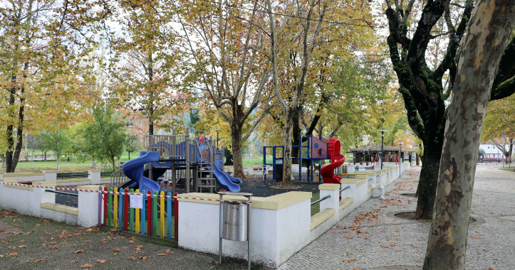 Sld-OpArvoredoCarvalha