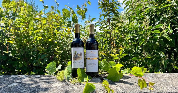 Vinhos do concelho da Sertã conquistam Ouro e Prata em concurso