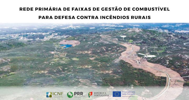 ICNF implementa Rede Primária de Faixas de Gestão de Combustível no concelho da Sertã